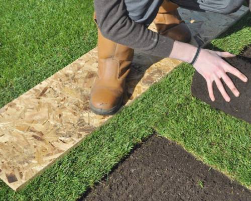 Best Professional Turf Laying Services Sydney