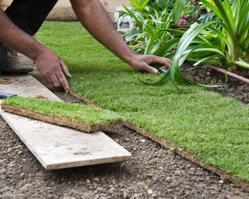 Affordable Turf Laying Services
